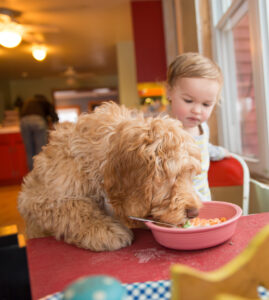 baby sharing breakfast with puppy